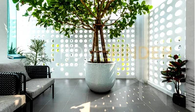 บ้านเดี่ยว ถนนกิ่งแก้ว : Nirvana Absolute Bangna 3 bedrooms, for sale