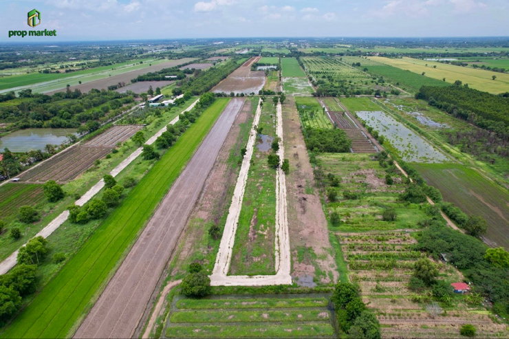 รูป ขายที่ดินปทุมฯ ที่ดินสวย ใกล้กรุงเทพฯ ราคาเพียง 5,900 บาท/ตร.ว. - รูปที่ 8/12