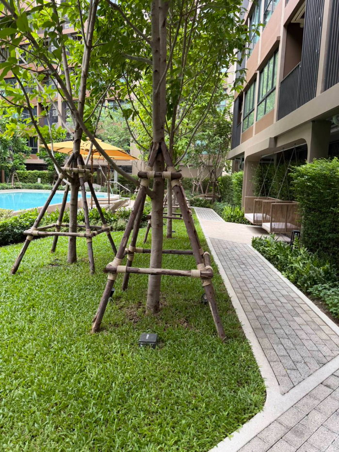 รูป ให้เช่าคอนโด D CONDO Calm รามคำแหง 40 ห้องสวยสภาพใหม่ วิวสระ เฟอร์ครบพร้อมอยู่ ใกล้ MRT ใกล้ แยกลำสาลี เชื่อมต่อรถไฟฟ้าสายสีเหลือง ใกล้ ม.รามคำแหง - รูปที่ 14/16