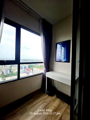 ขายคอนโด : 🔥🔥🔥ขายด่วน ห้องสวย 1 bed plus : Niche MONO Sukhumvit-Bearing แถมเครื่องใช้ไฟฟ้าใหม่ทุกชิ้น 🔥🔥🔥
