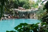 listing thumbnail image 32