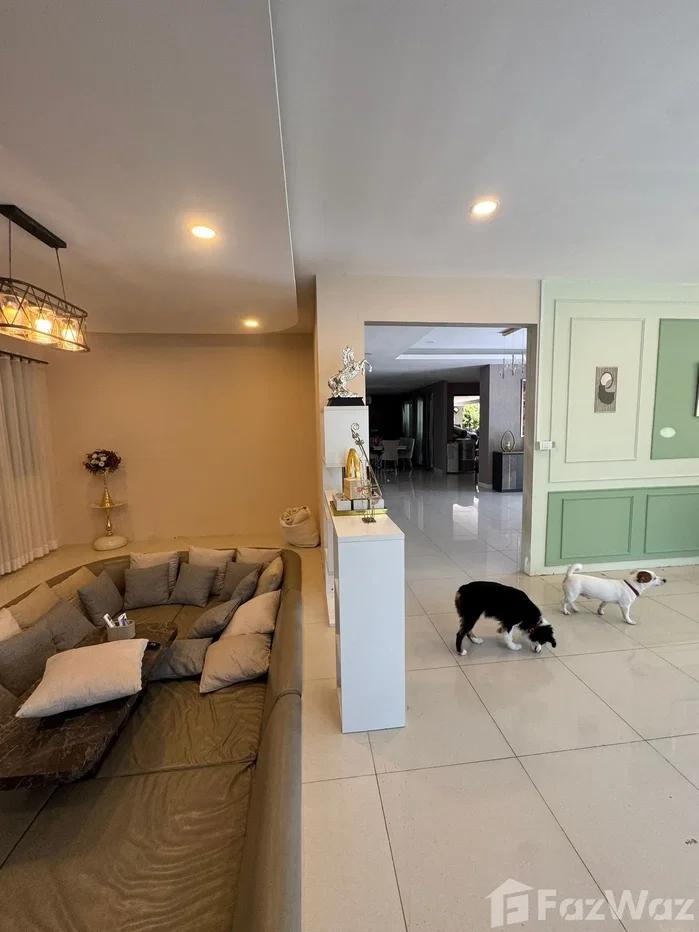 picture Passorn Bangwaek 6739716 - 22/48