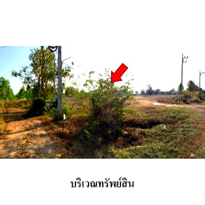 ที่ดิน สุโขทัย : Z3A1120 ขายที่ดินเปล่า ตำบล โตนด อำเภอ คีรีมาศ จังหวัด สุโขทัย