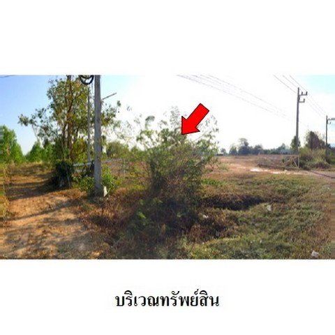 รูป Z3A1120 ขายที่ดินเปล่า ตำบล โตนด อำเภอ คีรีมาศ จังหวัด สุโขทัย - รูปที่ 1/8