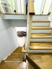 listing thumbnail image 13