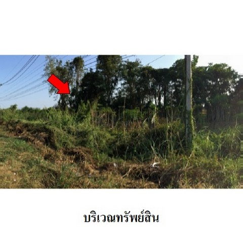 รูป Z3A1120 ขายที่ดินเปล่า ตำบล โตนด อำเภอ คีรีมาศ จังหวัด สุโขทัย - รูปที่ 4/8