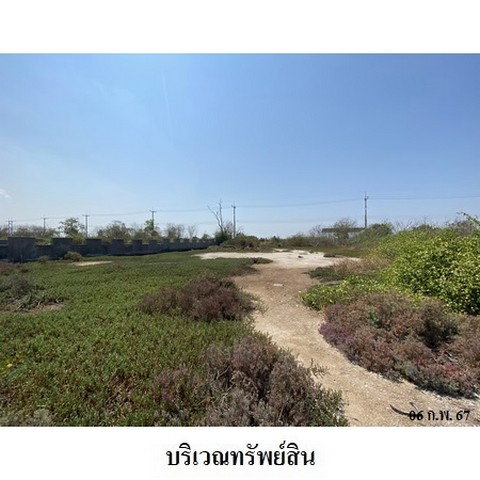 รูป Z4T0392 ขายที่ดินเปล่า รอยัล เลคไซด์ กอล์ฟ คลับ ตำบล ท่าข้าม อำเภอ บางปะกง จังหวัด ฉะเชิงเทรา - รูปที่ 5/8