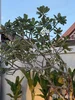listing thumbnail image 27