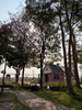 listing thumbnail image 6