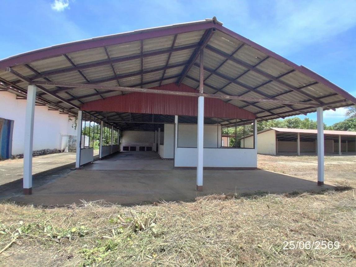 picture HOME 1294 Sq.w. Phanom Phrai Roi Et for 7.2M - 39/53