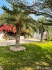 listing thumbnail image 32