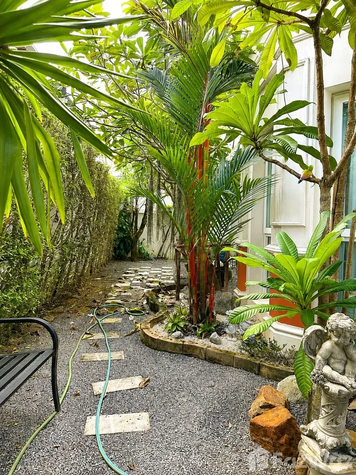 รูป 🏡 Supitchaya Chino Koh Kaew /🏡 สุพิชฌาย์ ชิโน เกาะแก้ว 6737708 - รูปที่ 15/15