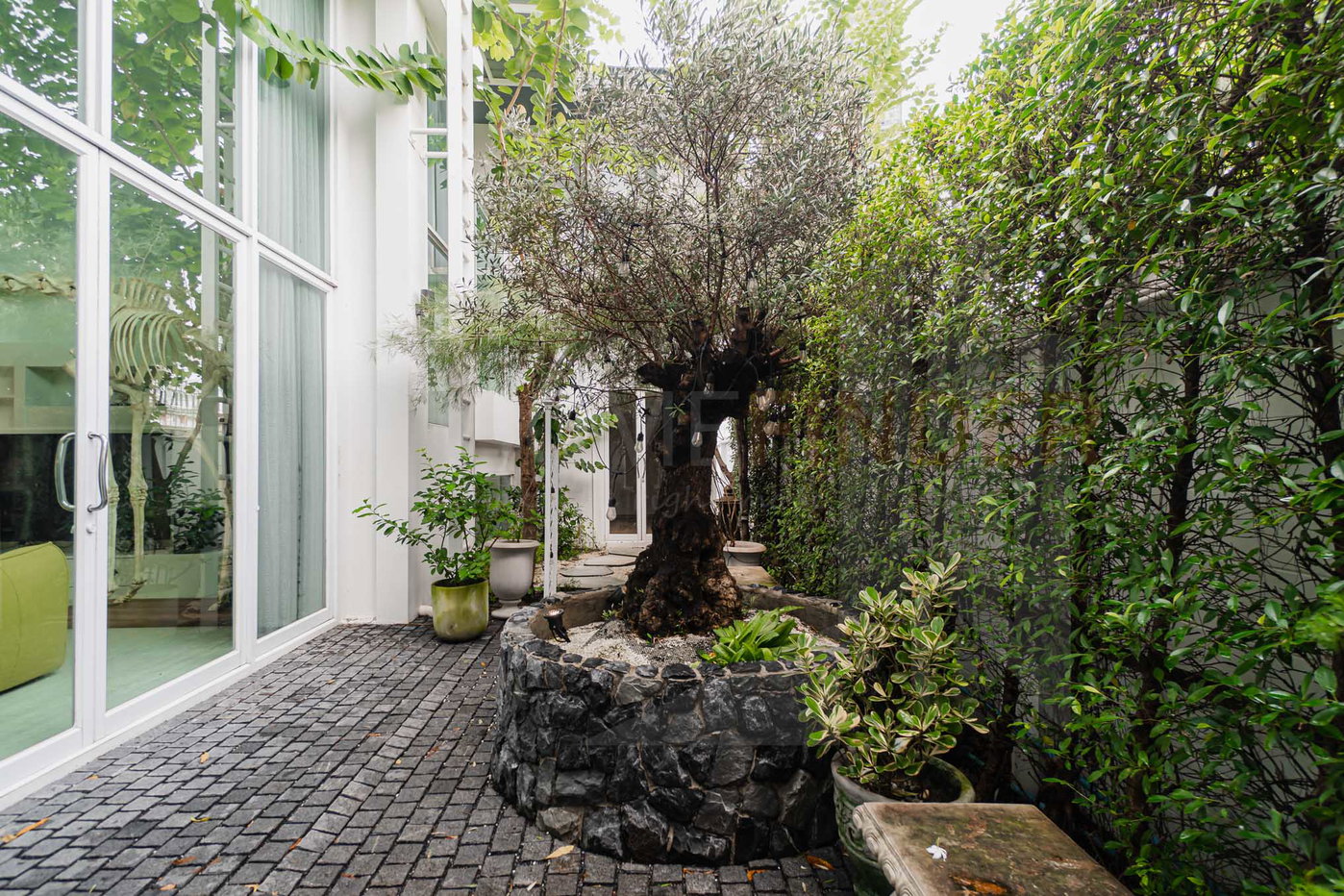 รูป House Soi PhromSi 2 Sukumvit 49 4 bedrooms, for rent - รูปที่ 15/16