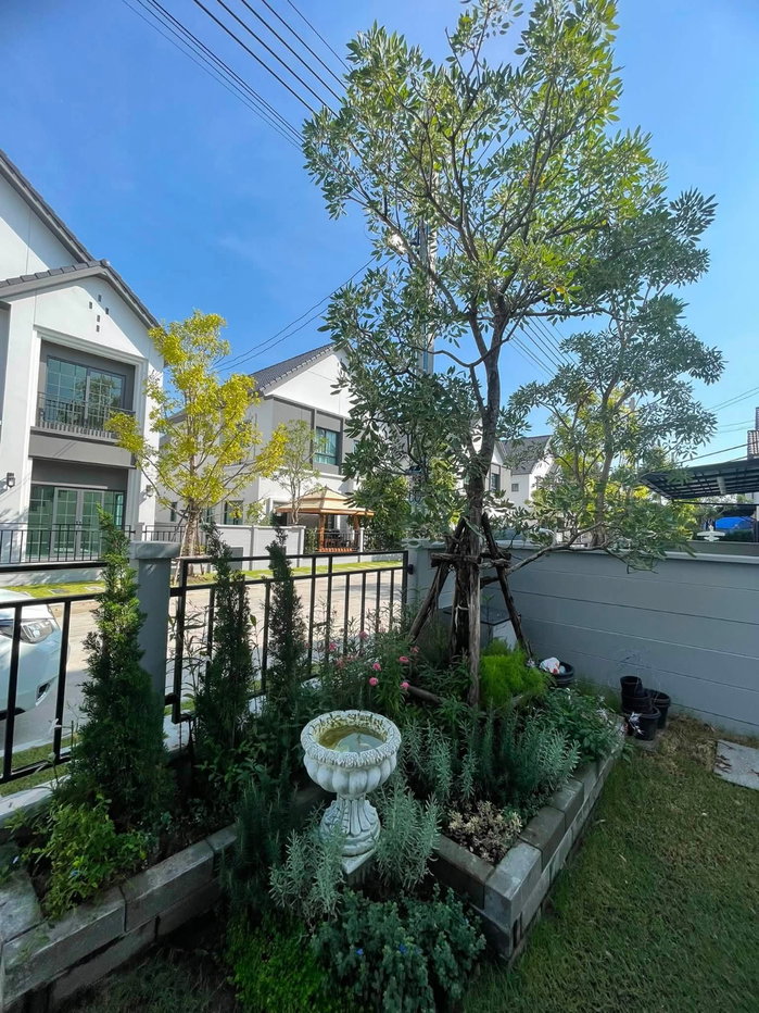 รูป P0919/[เช่าด่วน] บ้านเดี่ยวหรู 2 ชั้น โครงการ Centro Bangna (เซนโทร บางนา) - รูปที่ 2/17