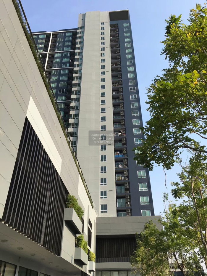 รูป เช่าคอนโด เดอะ เบส สุขุมวิท 77 BTS-อ่อนนุช | On Nut CX-153172-1 - รูปที่ 11/11