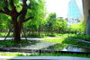 listing thumbnail image 13