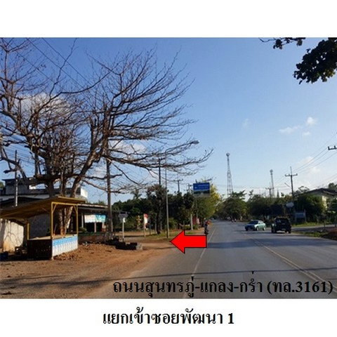 รูป Z3A0296 ขายบ้านเดี่ยว ตำบล เนินฆ้อ อำเภอ แกลง จังหวัด ระยอง - รูปที่ 8/8