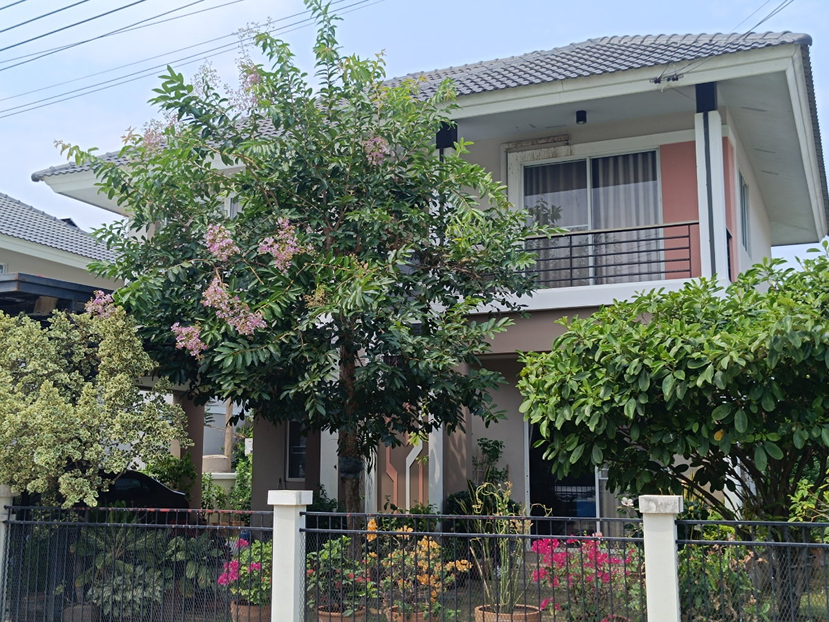 รูป ขายบ้านเดี่ยว 2 ชั้น พร้อมอยู่ — กาญจน์กนกวิลล์ 16 หนองจ๊อม สันทราย เชียงใหม่ - รูปที่ 1/10