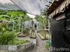 listing thumbnail image 20