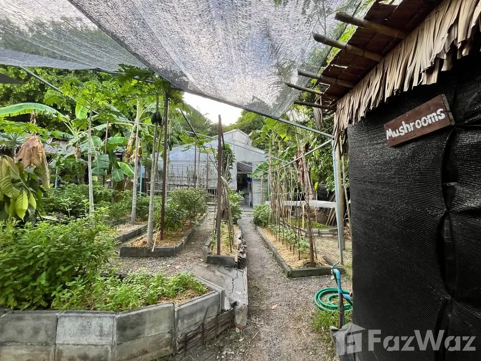 รูป ขาย บ้านเดี่ยว 4 ห้องนอน ใน บ่อผุด, สุราษฎร์ธานี 6739694 - รูปที่ 21/27