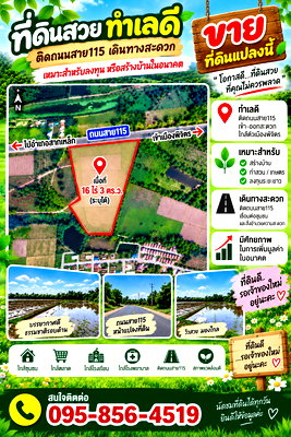 ที่ดิน พิจิตร : ขายที่ดินจังหวัดพิจิตร ต.ปากทาง อ.เมือง ติดถนนใหญ่ 4 เลน สาย115