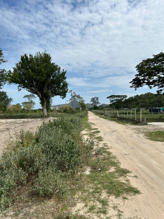 picture 4 Rai of Land for Sale — 6 Flexible Plot Options - 8/10