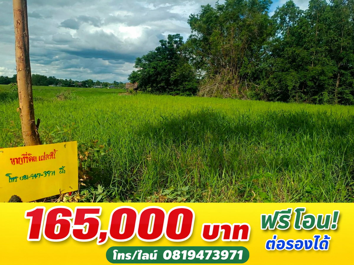 รูป ที่ดินเหมาะสร้างบ้าน สาธารณูปโภคพร้อม ในชุมชน - รูปที่ 4/4