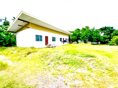 Houses for rent : 			A small house in the forest 6 rai (approximately 2.4 acres). 48 meters wide. Land for rent in NimitM          