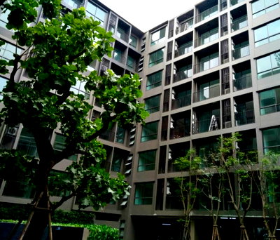 Condos for rent : 1Bed | 1Bath | BTS Punnawithi | 33sqm | THB 16,000/mo | Fl.4 — The Tree Sukhumvit 64 Bangkok