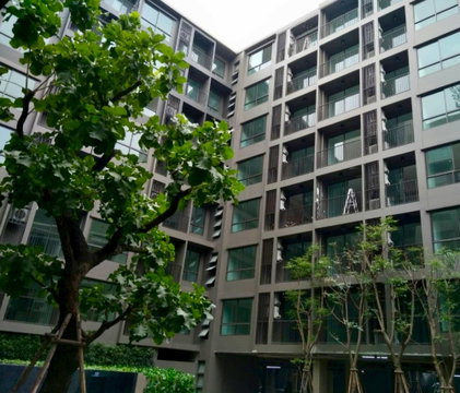 1 ห้องนอน | 1 ห้องน้ำ | BTS Punnawithi | 33 ตร.ม. | 16,000 บาท/เดือน | ชั้น 4 — The Tree Sukhumvit 64 กรุงเทพฯ