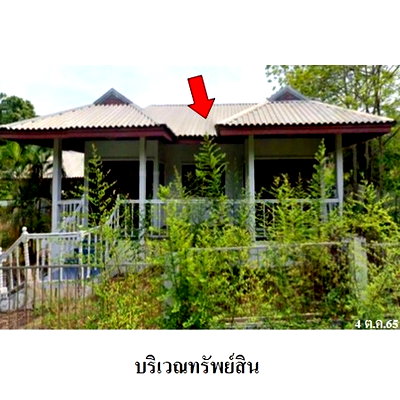 Houses for sale Klaeng  Rayong : Thailand House for sale 1 bedroom 162 Square Wa 2529000 Baht.