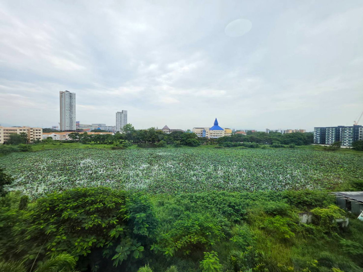 รูป 🏙️ ให้เช่า! The Treasure @ CBP ✨ ห้อง 35 ตร.ม. ชั้น 6 ตึก C วิวบึง พร้อมเข้าอยู่ ทำเลดีในโซน CBP - รูปที่ 8/9