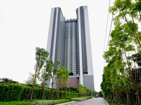 1 ห้องนอน | 1 ห้องน้ำ | BTS Phra Khanong | 31 ตร.ม. | 18,000 บาท/เดือน | ชั้น 10 — Aspire Sukhumvit-Rama 4 กรุงเทพฯ