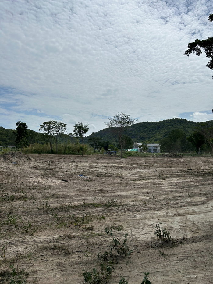picture 4 Rai of Land for Sale — 6 Flexible Plot Options - 3/10