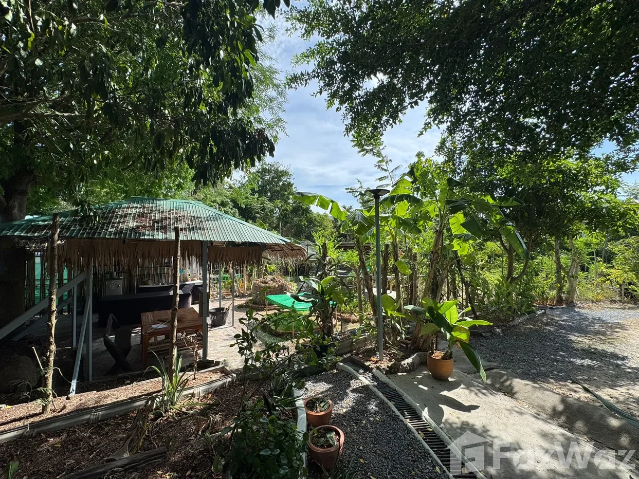 รูป ขาย บ้านเดี่ยว 4 ห้องนอน ใน บ่อผุด, สุราษฎร์ธานี 6739694 - รูปที่ 13/27