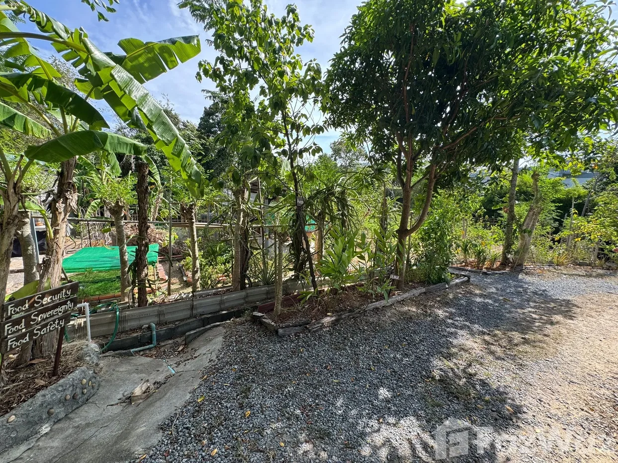 รูป ขาย บ้านเดี่ยว 4 ห้องนอน ใน บ่อผุด, สุราษฎร์ธานี 6739694 - รูปที่ 14/27