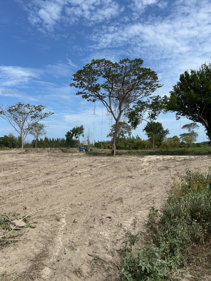 picture 4 Rai of Land for Sale — 6 Flexible Plot Options - 7/10