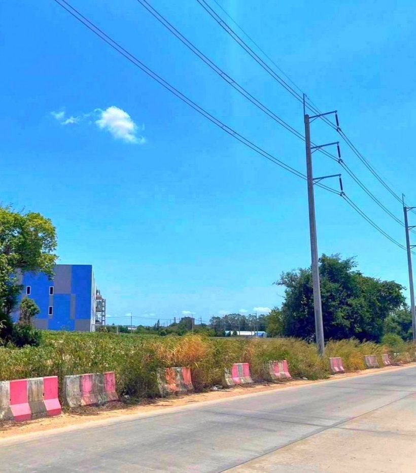 รูป ขายที่ดินผังสีม่วงเข้ม 22 ไร่ ติดนิคมอมตะซิตี้ระยอง เหมาะสร้างโรงงาน โกดัง - รูปที่ 3/10