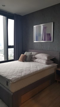 FOR RENTCondo XT Ekkamai BTS-Ekkamai CX-90334-1