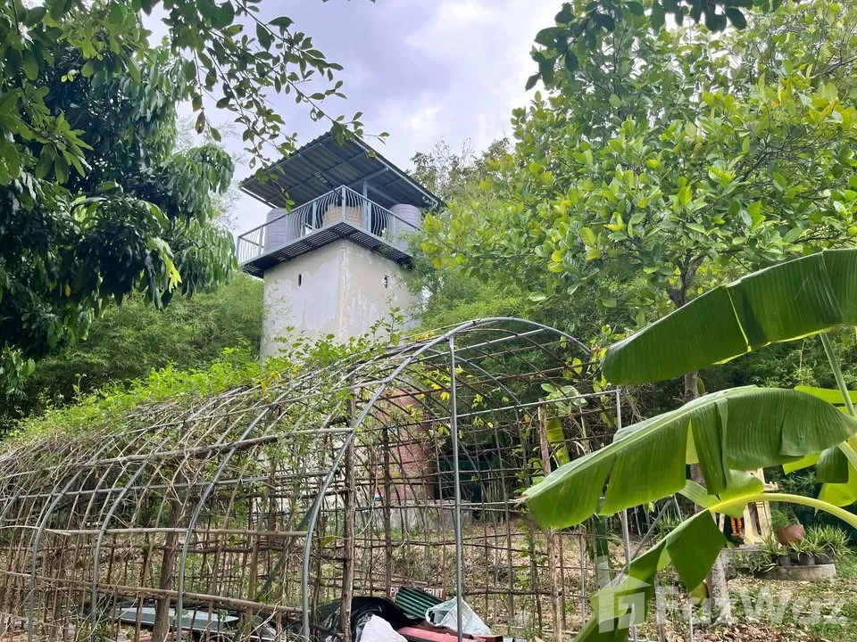 รูป ขาย บ้านเดี่ยว 4 ห้องนอน ใน บ่อผุด, สุราษฎร์ธานี 6739694 - รูปที่ 22/27