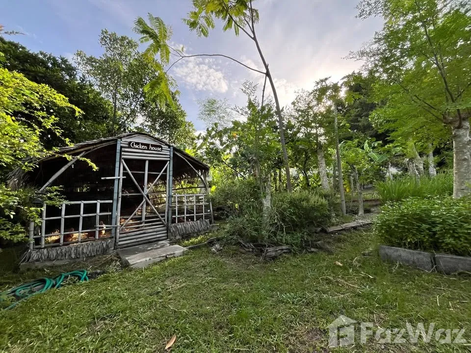 รูป ขาย บ้านเดี่ยว 4 ห้องนอน ใน บ่อผุด, สุราษฎร์ธานี 6739694 - รูปที่ 20/27