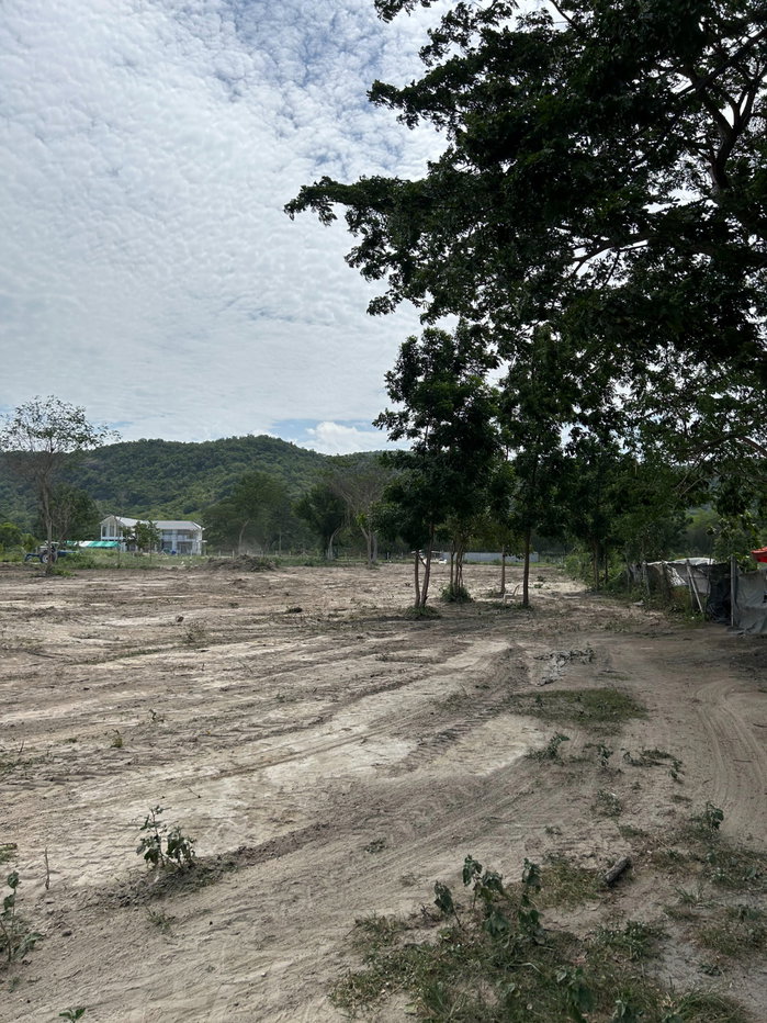 picture 4 Rai of Land for Sale — 6 Flexible Plot Options - 2/10