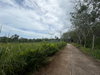listing thumbnail image 6