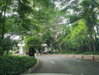 listing thumbnail image 12