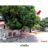 listing thumbnail image 1
