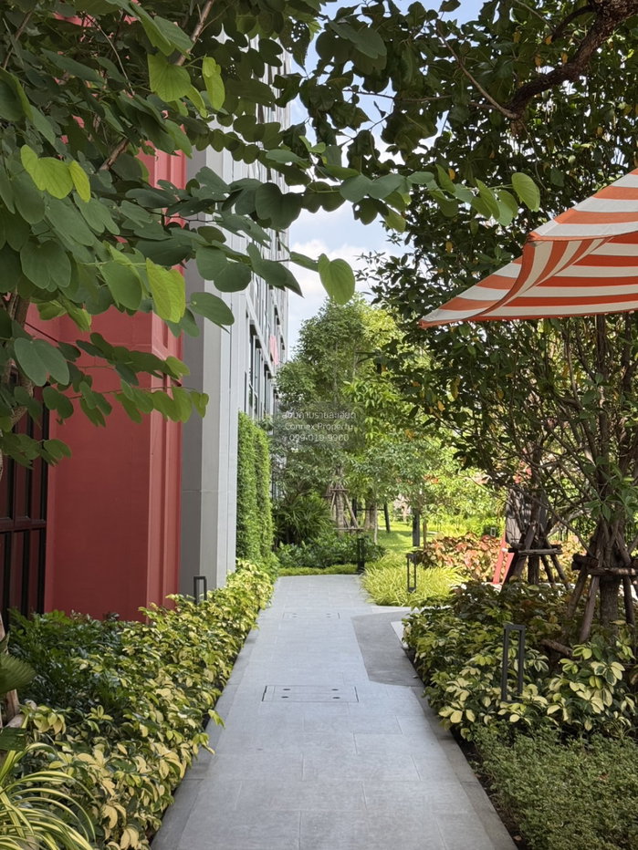 picture FOR RENTCondo d condo vivid Rangsit MRT-Bang Yi Khon CX-167497-1 - 11/11