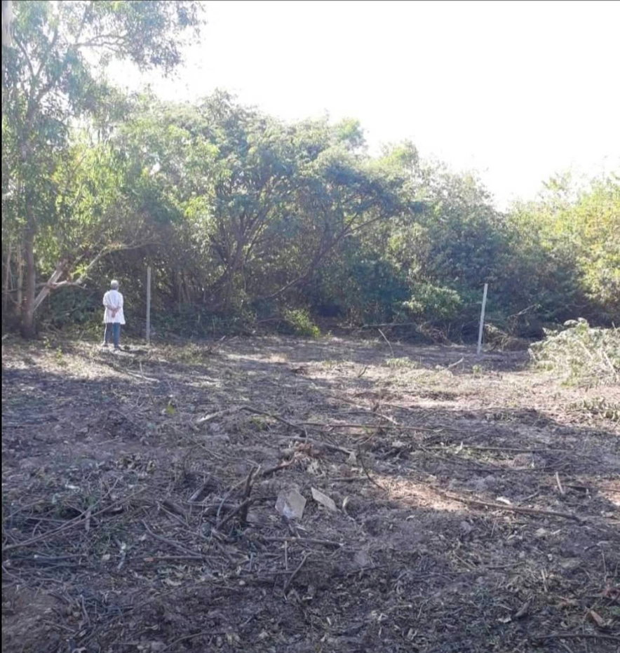 รูป ขายที่ดิน ต.หมูม่น จ.อุดรธานี 50ตร.ว - รูปที่ 1/6
