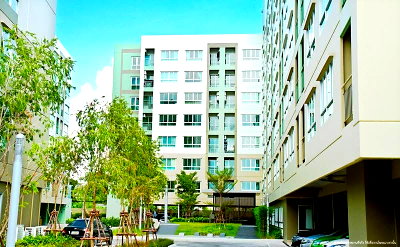 Condos for rent : 2Bed | 2Bath | BTS Bearing | 45sqm | THB 14,000/mo | Fl.7 — Lumpini Ville SUKHUMVIT109 - Bearing Bangkok