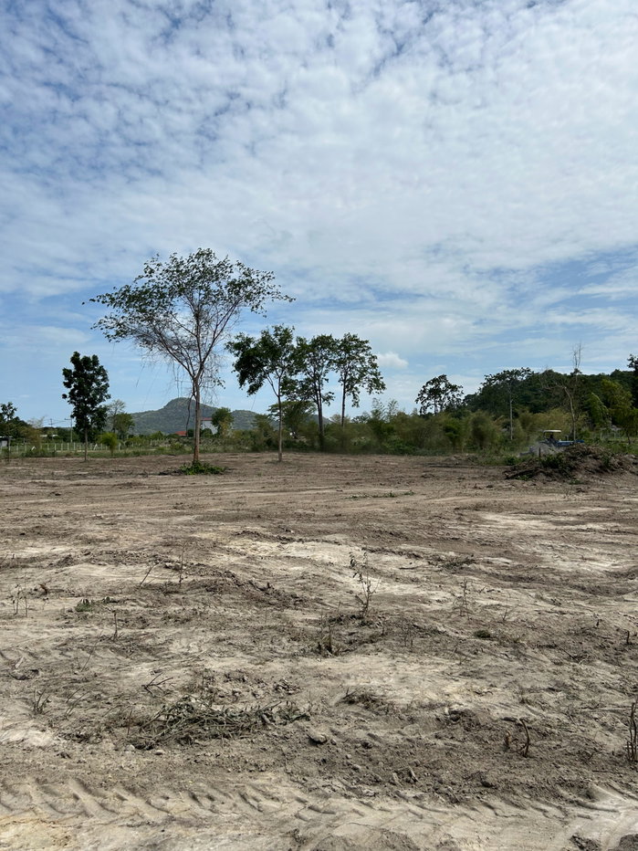 picture 4 Rai of Land for Sale — 6 Flexible Plot Options - 5/10