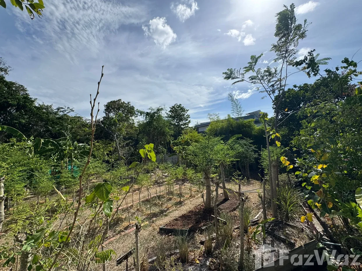 รูป ขาย บ้านเดี่ยว 4 ห้องนอน ใน บ่อผุด, สุราษฎร์ธานี 6739694 - รูปที่ 12/27